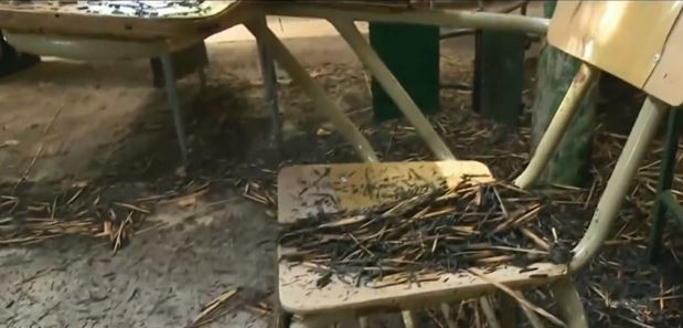 Incendiaron una escuela agraria de La Plata y no se sabe si podrán empezar las clases | Actualidad