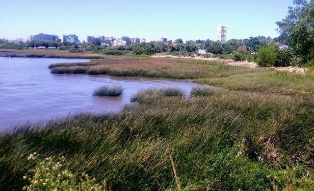 Lo detienen por intentar vender un terreno estatal con salida al río en Vicente López | Actualidad