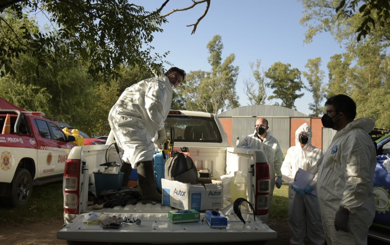 Córdoba: detectaron 4 nuevos casos de gripe aviar y ya son 24 las infecciones en la provincia | Actualidad