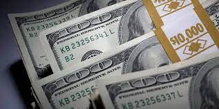 Fijan en dólares un seguro de vida para evitar su devaluación | Actualidad