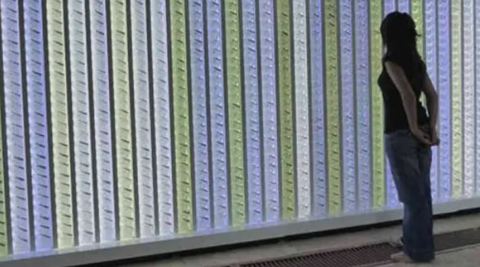 Miles de botellitas de agua en una intervención artística sobre la importancia y escasez del agua | Clima, naturaleza y medio ambiente