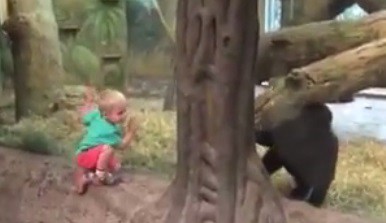 #EsViral: el nene que juega a las escondidas con el gorila bebé | Curiosidades