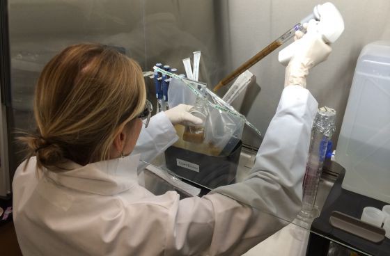 Primer laboratorio dedicado a trasplantes de materia fecal | Curiosidades