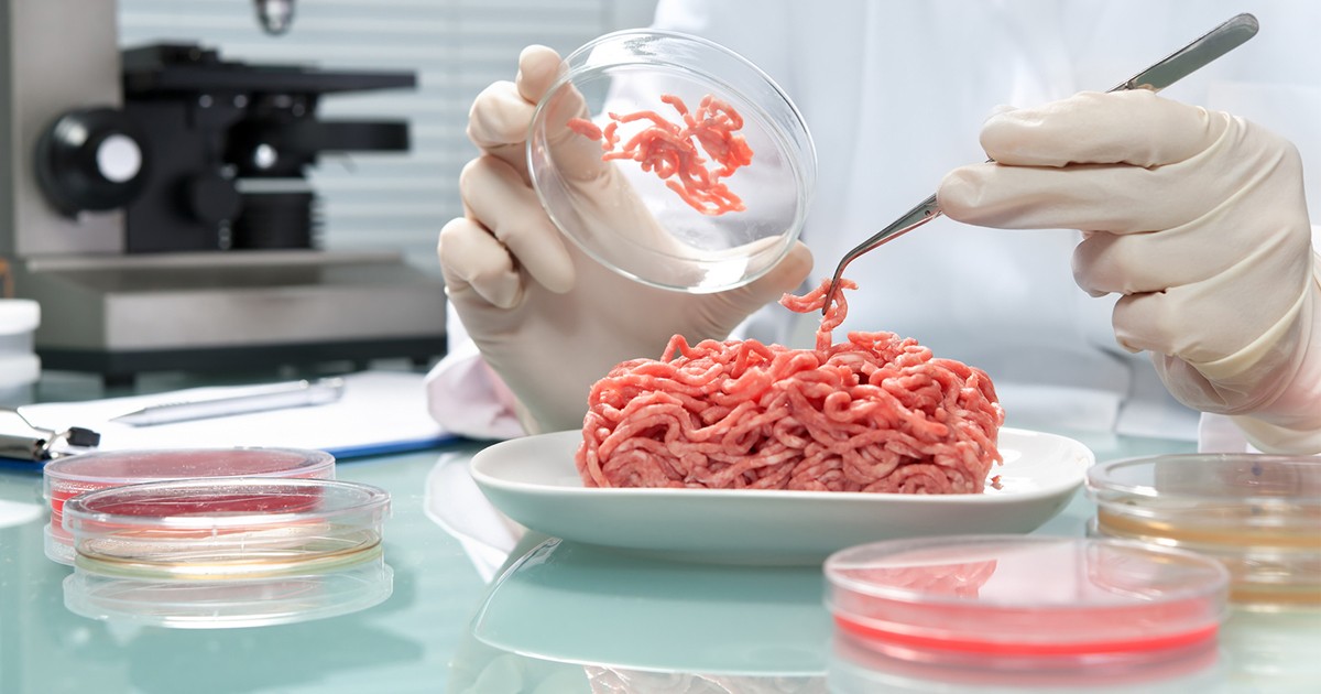 Italia aprobó un proyecto de ley que prohíbe la producción y venta de carne artificial | Internacionales
