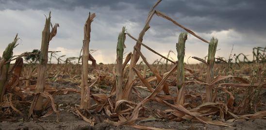 La superficie afectada por la sequía se redujo en 35,6 millones de hectáreas durante marzo | Clima, naturaleza y medio ambiente