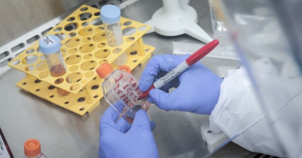 Dengue: los detalles de la nueva vacuna que aprobó la ANMAT | Actualidad