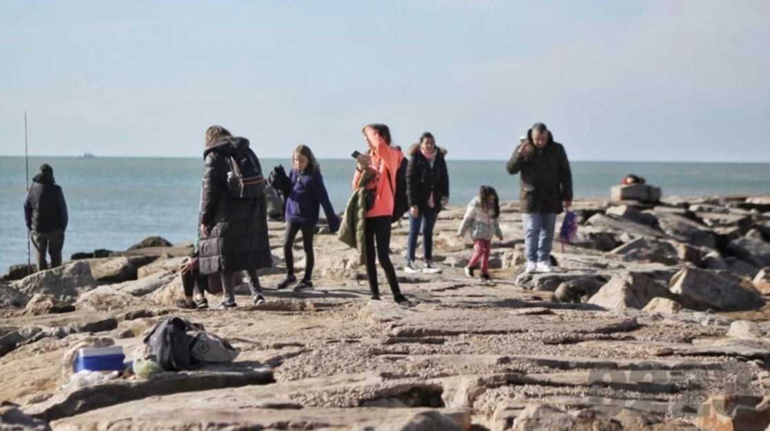 Más de 1.200 vehículos por hora hacia la costa atlántica por el fin de semana largo | Actualidad