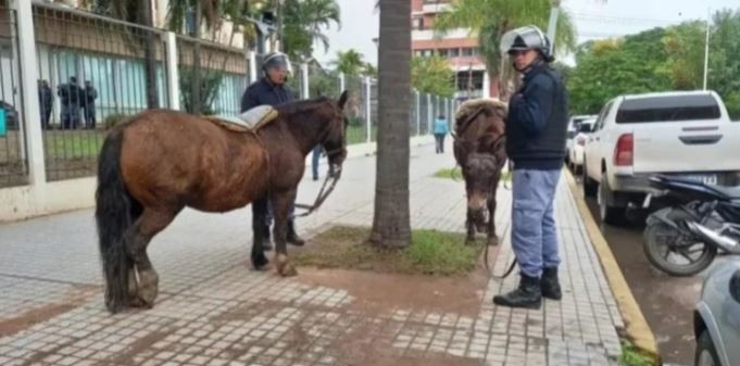 Insólito: un manifestante a caballo quiso entrar a la Casa de Gobierno de Chaco | Actualidad