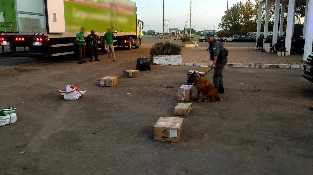 Fueron al correo a retirar una encomienda con 45 kilos de droga: quedaron detenidos | Actualidad