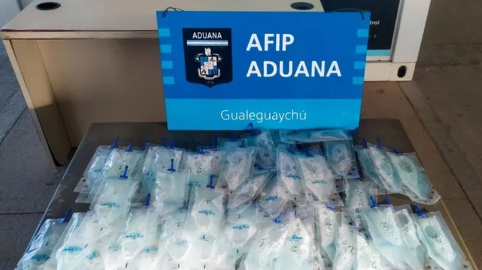 Iba a cruzar a Uruguay, en la Aduana revisaron su equipaje y le encontraron seis litros de semen porcino de | Actualidad