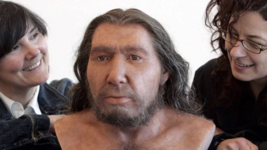 Identifican presencia de ADN neandertal en la configuración actual del rostro de latinoamericanos | Actualidad