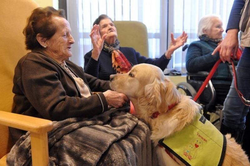 Aceptarán las visitas con mascotas en los geriátricos porteños | Actualidad