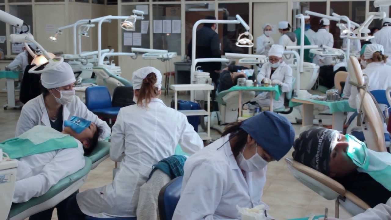 Día de las Encías: la UBA ofrecerá este viernes una jornada de atención y prevención odontológica gratuita | Actualidad