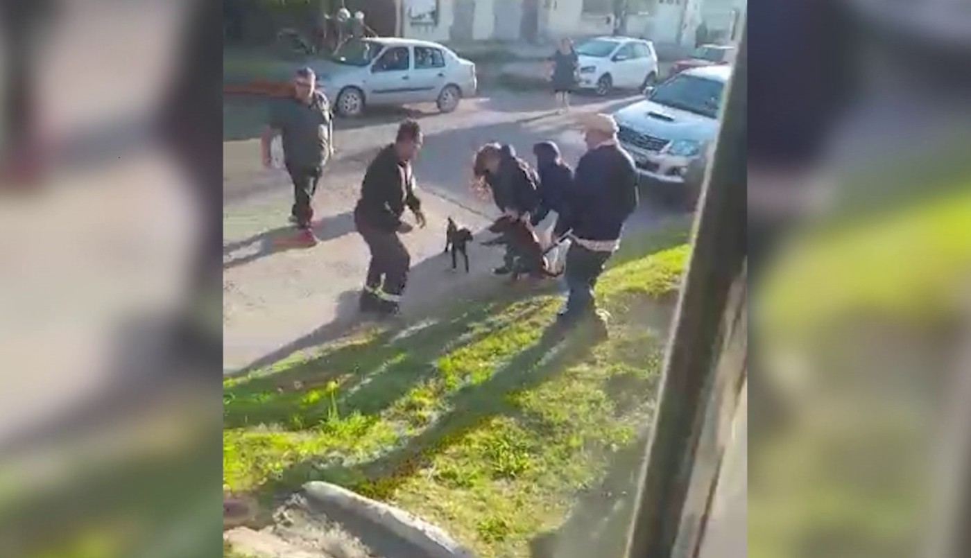 Detienen a la dueña de un pitbull que le ocasionó lesiones a tres personas en Bahía Blanca | Actualidad