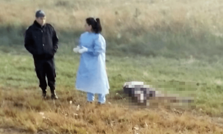 Corrientes: murió un hombre tras ser atropellado por un automovilista que siguió y se fugó hacia Brasil | Actualidad