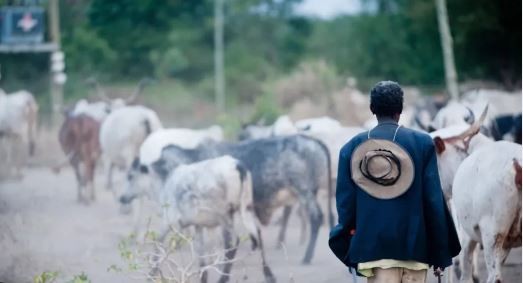 Un brote de ántrax causa un muerto y once infectados en Ghana | Internacionales