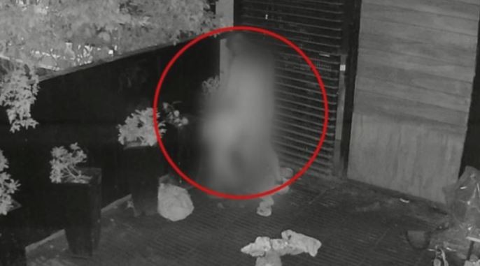 Córdoba: tuvieron relaciones sexuales en un bar y fueron filmados | Actualidad