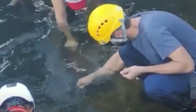 Cataratas: Recolectaron 160 kilos de monedas del río Iguazú | Actualidad