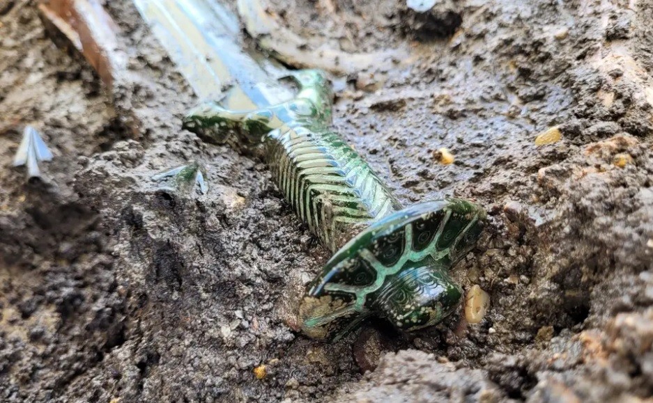 Hallaron una espada de bronce de más de 3000 años "que casi sigue brillando" | Internacionales