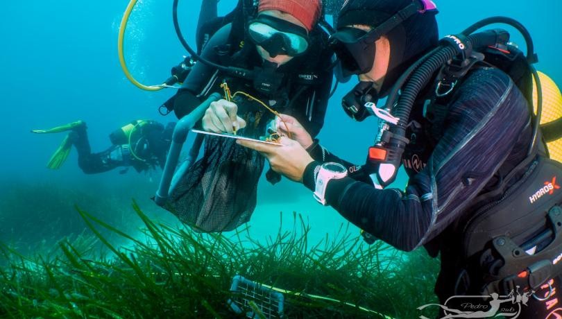 Lanzaron las primeras Olimpíadas de Ciencia del Mar destinadas a estudiantes secundarios | Actualidad