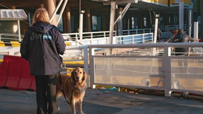 La Aduana da de baja una de las embarcaciones de Buquebus por su "penoso estado" | Actualidad