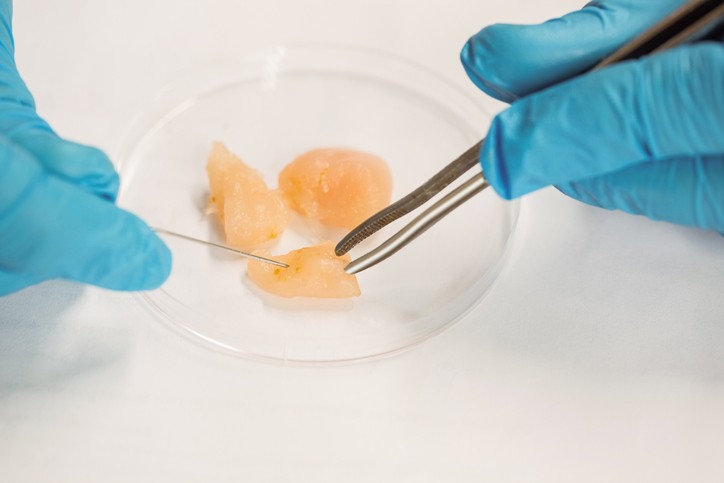 Estados Unidos permite la venta de carne de pollo creada en laboratorio | Internacionales