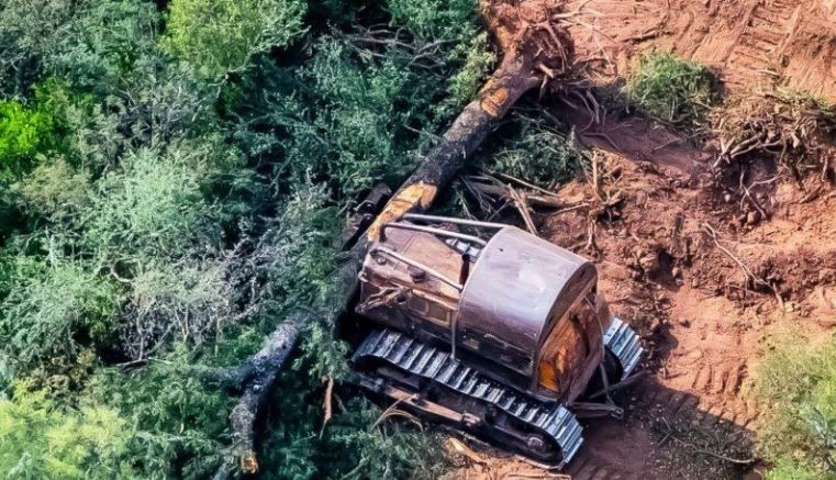 Argentina empieza a generar deuda ambiental: ya se agotaron los recursos que se producen por año | Clima, naturaleza y medio ambiente