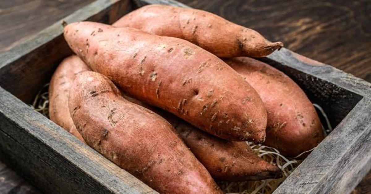 Reina batata: aumentó 450% en el último año | Economía