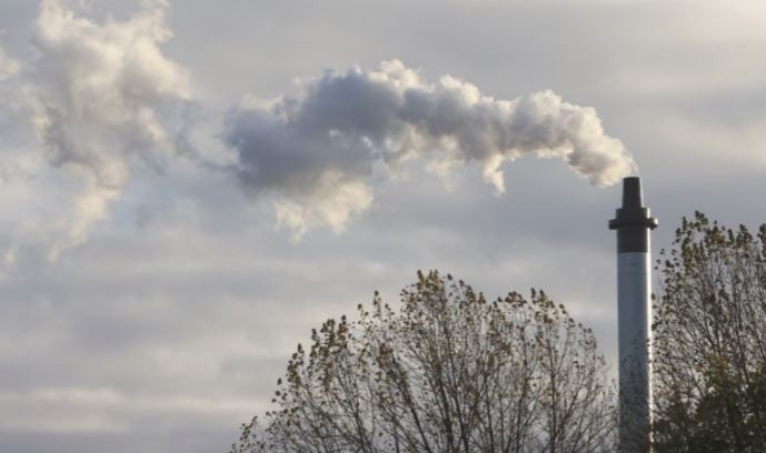 El mundo bate récords de temperatura terrestre y marina en 2023 | Clima, naturaleza y medio ambiente