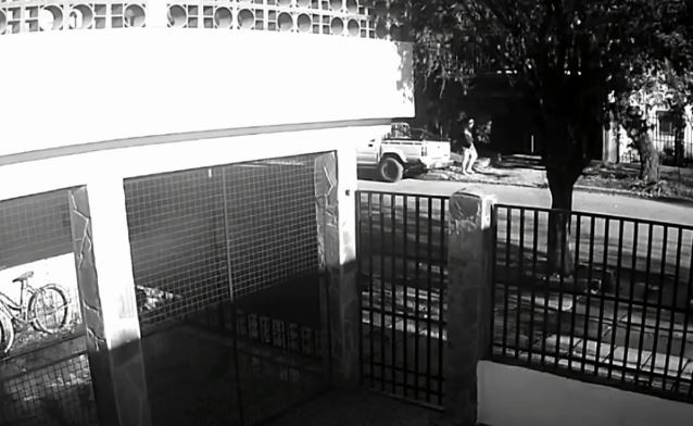 Caso Cecilia: hallaron posibles manchas de sangre en la camioneta de César Sena | Actualidad