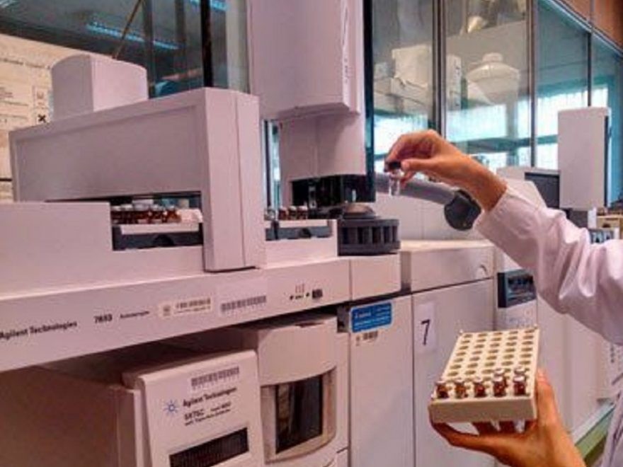 Monitorean proyectos de investigación de medicamentos herbarios para pacientes oncológicos | Actualidad