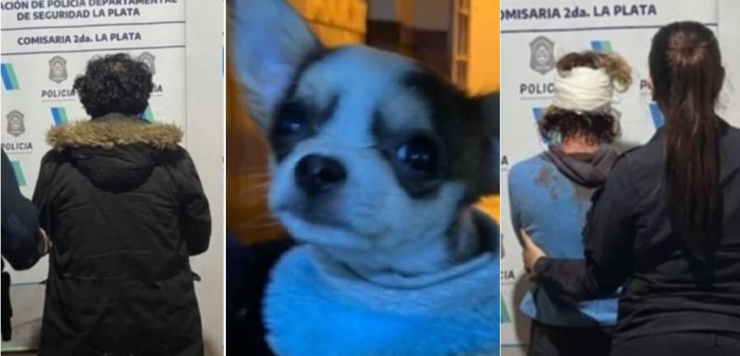 Pareja se tomó a trompadas por su perro chihuahua: ambos terminaron con heridas y detenidos | Actualidad