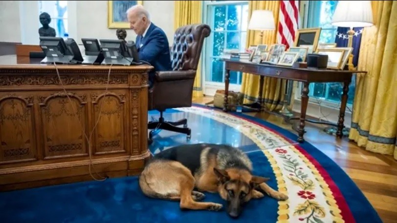 Preocupa en la Casa Blanca un perro de Biden que ataca al personal | Internacionales