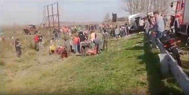 Chacabuco: volcó un camión en la ruta y los vecinos faenaron las vacas que transportaba | Actualidad