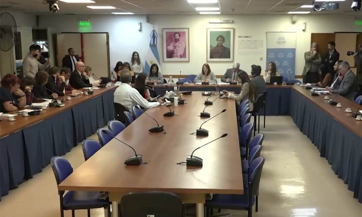 EN VIVO: Diputados trabaja en la creación de nuevas comisiones | Política