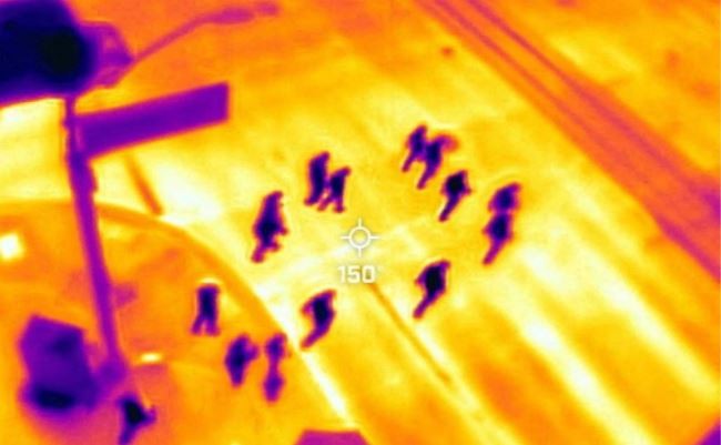 Julio fue el mes más caluroso registrado en el mundo, advirtieron científicos de la UE | Clima, naturaleza y medio ambiente