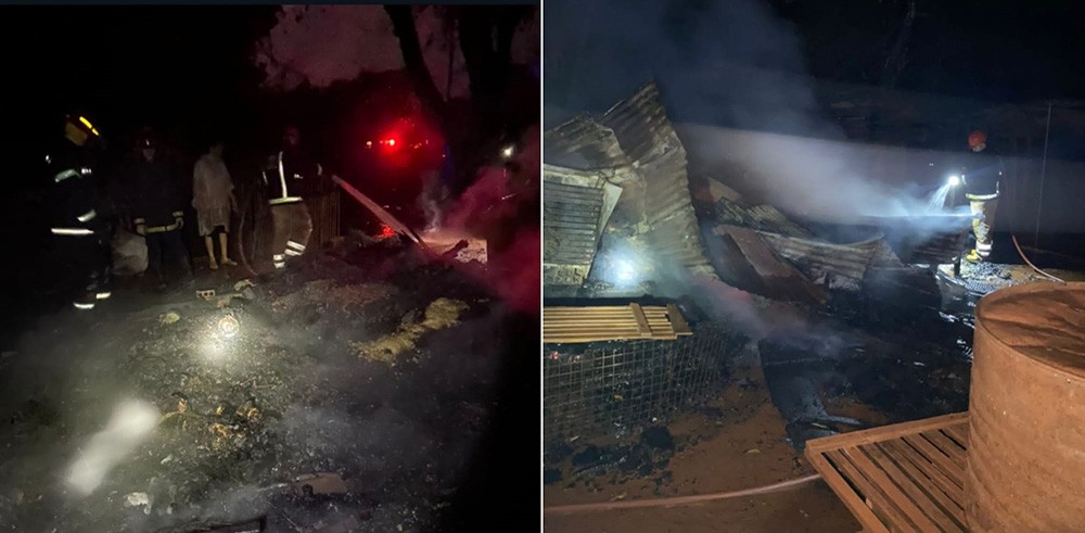 Se incendió un refugio de animales y murieron 17 perros | Actualidad