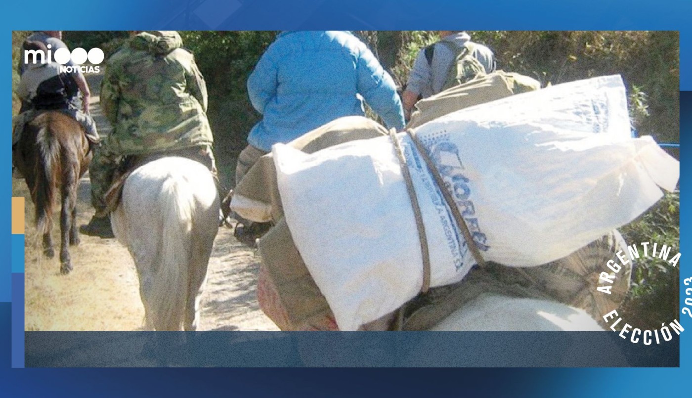 Desde mulas hasta aviones para que las urnas lleguen desde La Quiaca hasta la Antártida | Elecciones 2023