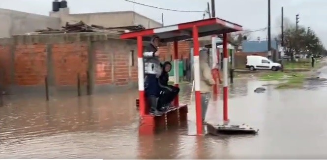 Inundaciones en La Plata: "Abordemos el tema sin oportunismos", pidió el intendente Garro | Política