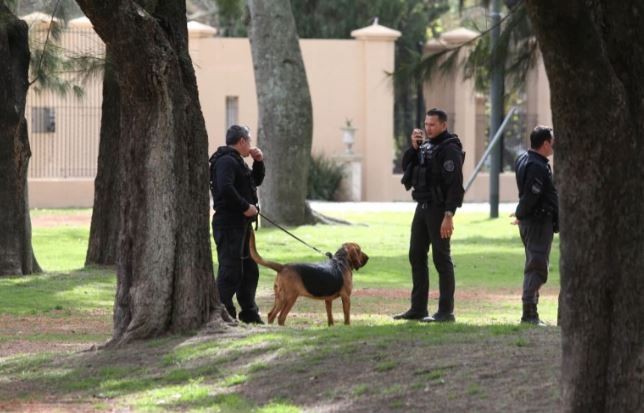 Un testigo dijo que vio al ingeniero cuando forcejeaba con su asesino | Actualidad
