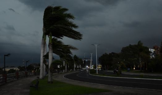 El Servicio Meteorológico Nacional declaró oficialmente la presencia de "El Niño" en Argentina | Clima, naturaleza y medio ambiente