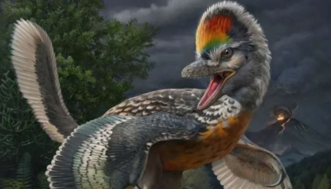 Un extraño dinosaurio con patas largas y parecido a un pájaro cautiva a los científicos | Internacionales