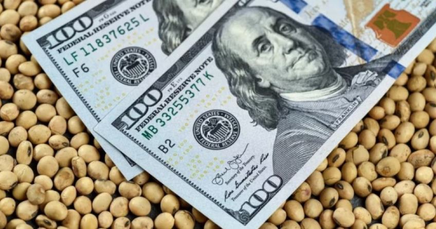 El Gobierno extiende el dólar soja hasta el 20 de octubre para fortalecer las reservas del BCRA | Economía