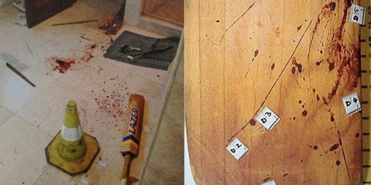 El bate de cricket que derrumbaría la coartada de Pistorius sobre la muerte de su novia | Deportes