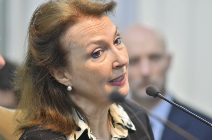 Diana Mondino comparó el matrimonio igualitario con "tener piojos" | Política