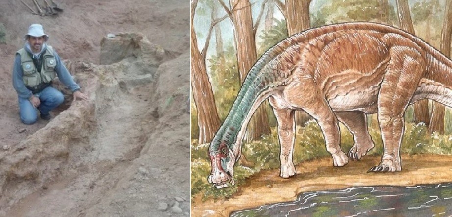 Neuquén: descubrieron una nueva especie de dinosaurio con el cuerpo "casi completo" | Actualidad