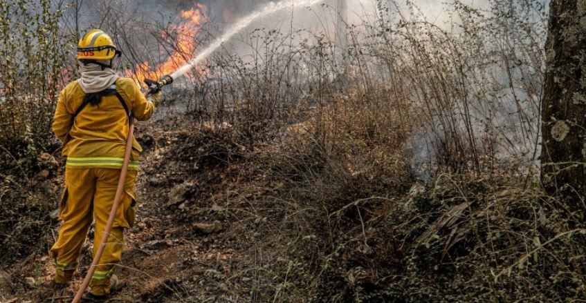 Córdoba: nuevos focos de incendio en Calamuchita y Traslasierra | Clima, naturaleza y medio ambiente
