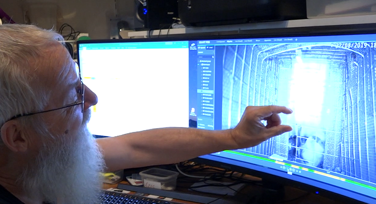 Fin al desconcierto científico: jubilado resolvió el misterio del pene gigante de un tipo de murciélago | Internacionales