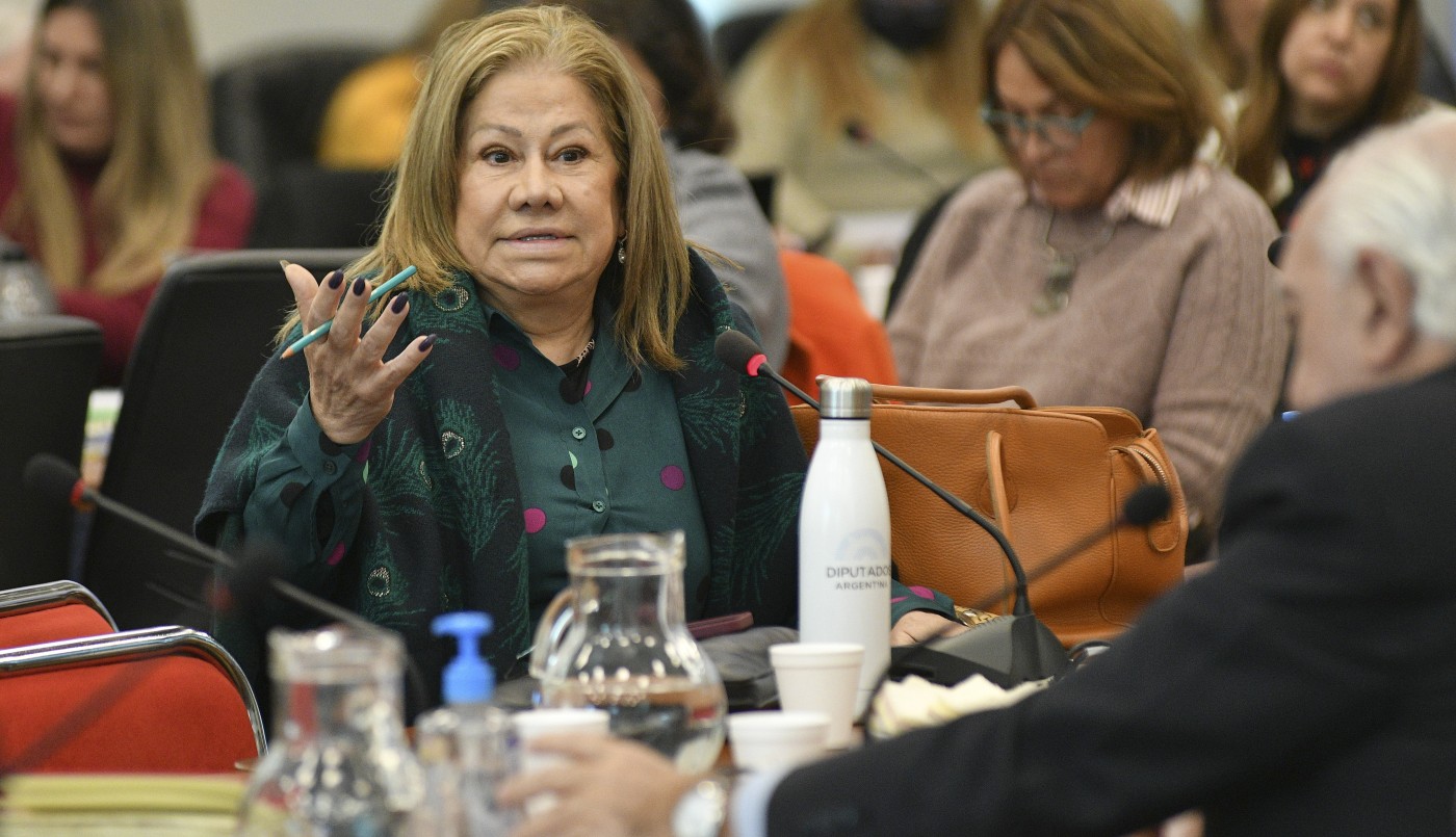 Alejando 'Topo' Rodríguez y Graciela Camaño se fueron del Interbloque Federal y forman nuevo bloque | Política