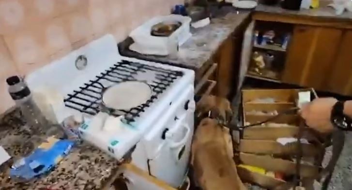 Regenteaba una cocina de drogas sintéticas en Villa Luro y lo detuvieron | Actualidad